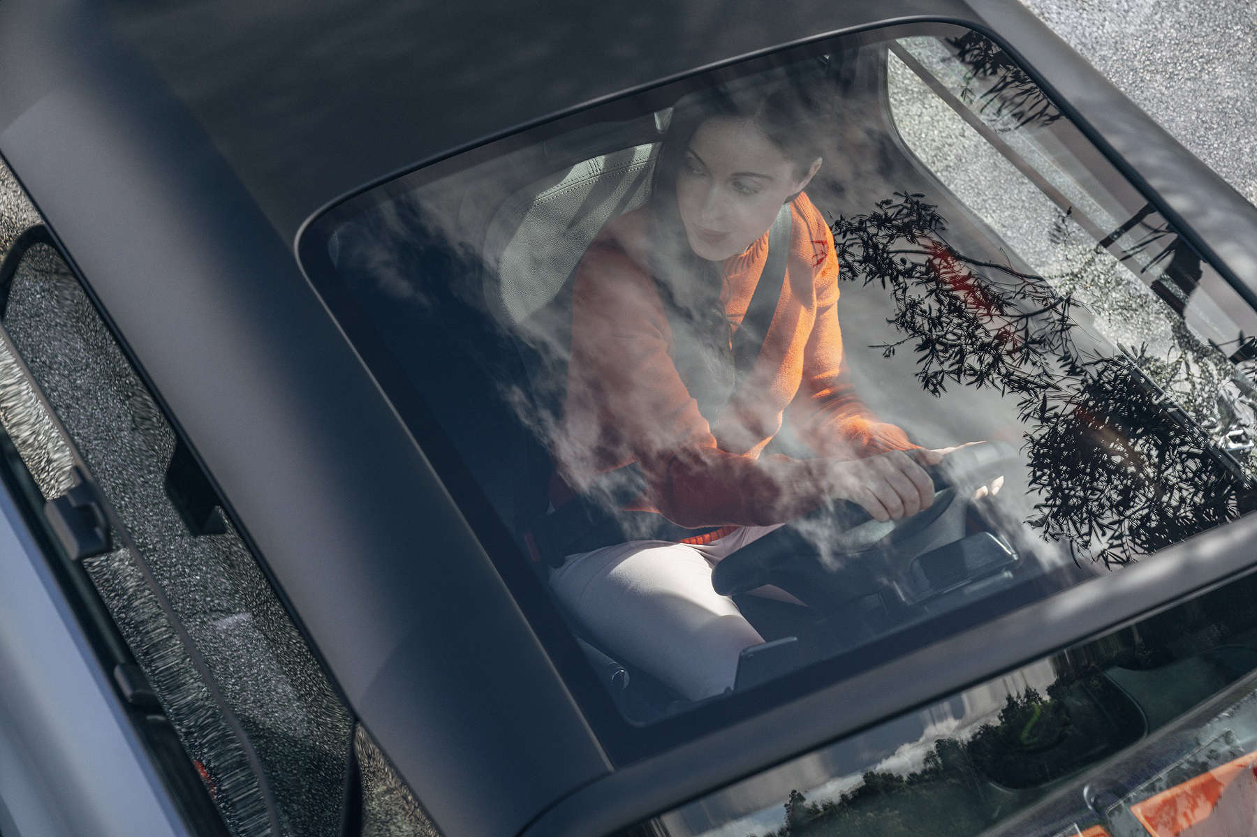 Панорамний дах на CITROЁN Ami Peps